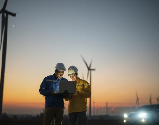 Роль деревини у зеленому відновленні України: Олена Шуляк