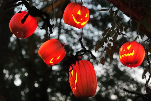 f8a3a48aed59829cf5576fe5aa76f0d7