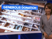 Ювелир из Нью-Йорка сделал сюрприз 10-летней девочке, ограбленной в Бронксе