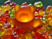 В Нью-Джерси похищено конфет на сумму 48,000 долларов США