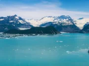 В Аляске, в национальном парке Глейшер-Бэй, образовался новый зеленый остров в озере Алсек