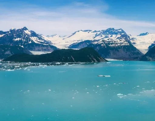 В Аляске, в национальном парке Глейшер-Бэй, образовался новый зеленый остров в озере Алсек